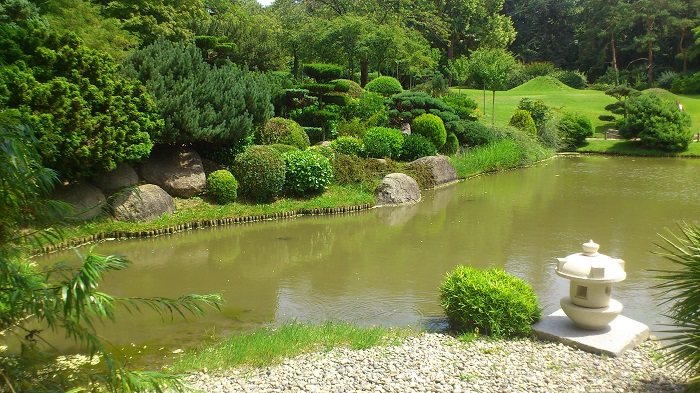 Où acheter un bassin de jardin à Toulouse ?  Acheter ou