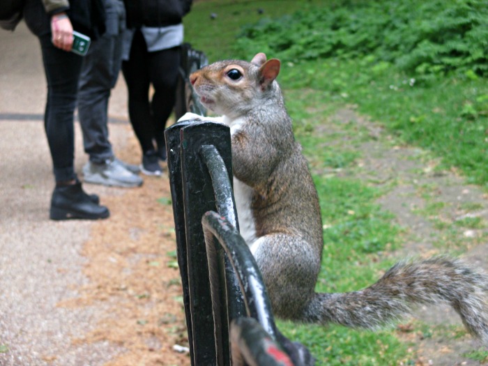 quefaire rencontre