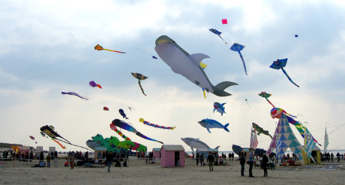 festival des cerf volants berck